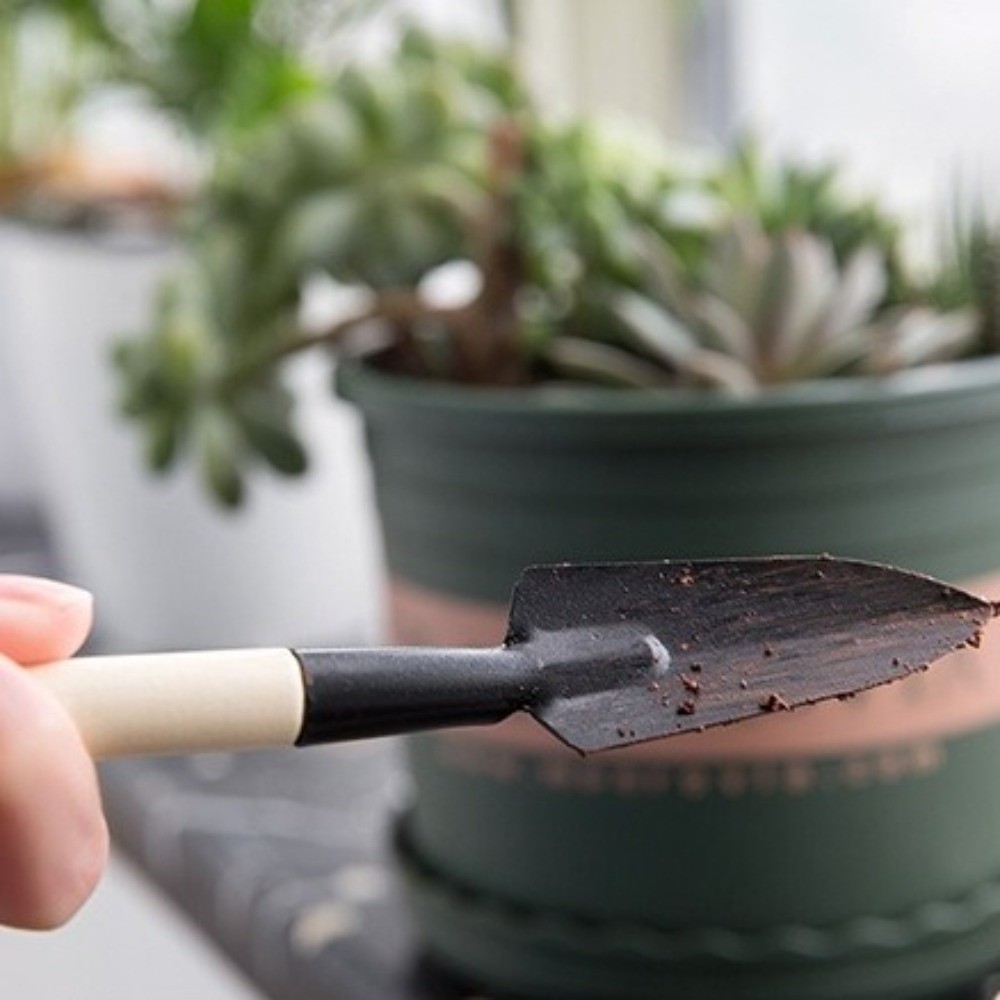 Spade Digging Fork - Conjunto de Ferramentas de Jardinagem Mini
