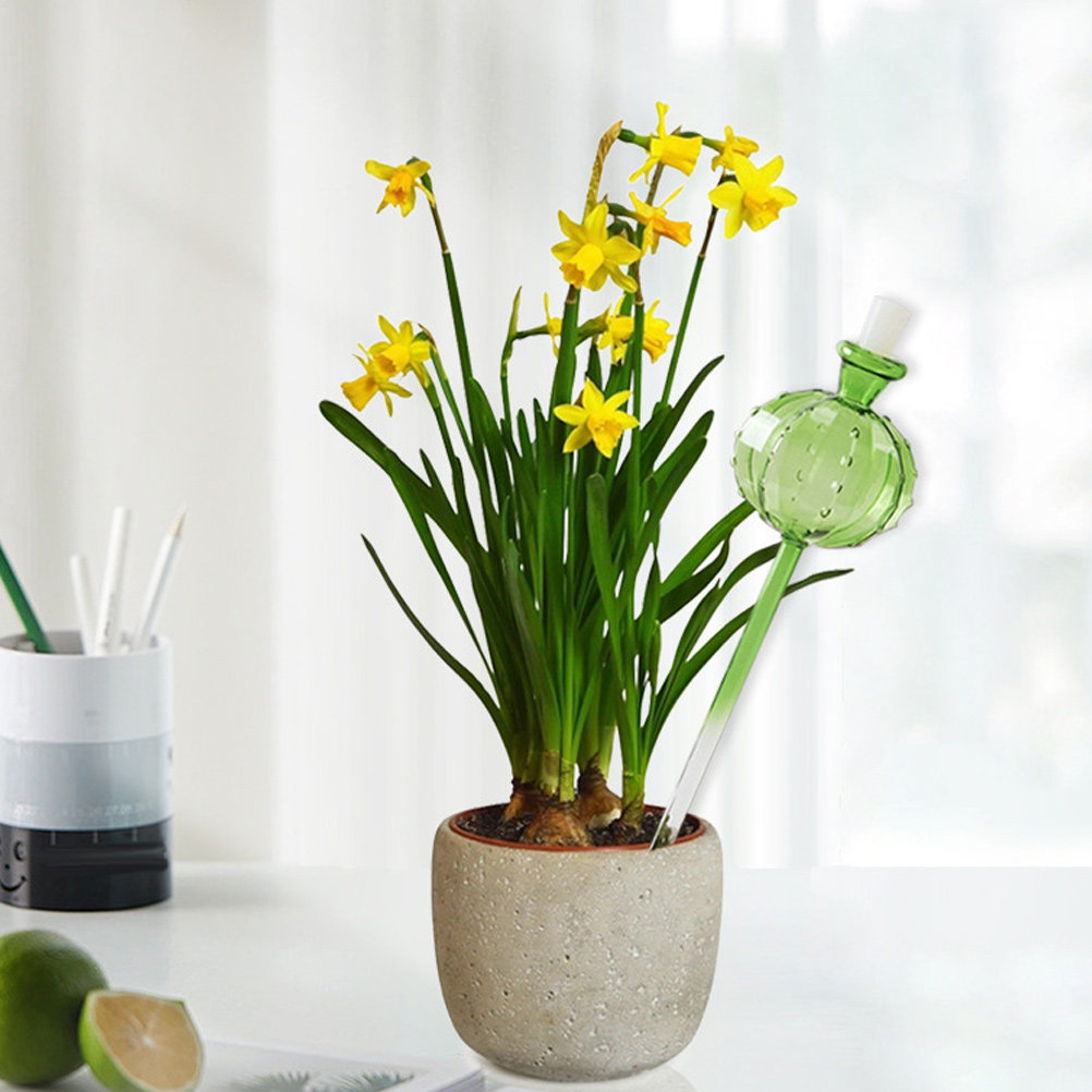 Automatic Plant Waterer - Regador Automático com Espigão para Plantas