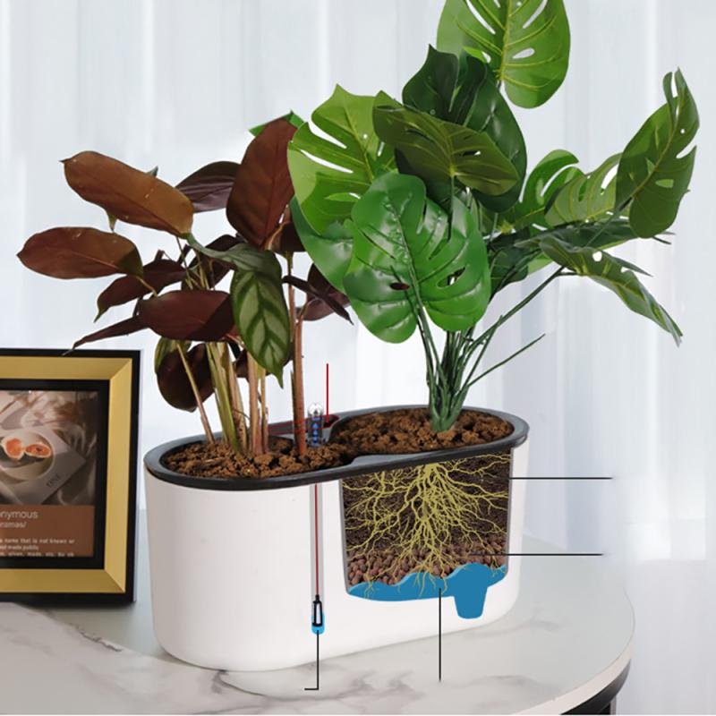 Planta de interior com indicad - Automatic Plant Waterer avaliação e preço